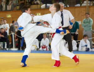 BEM2015 Rechts Fabian Erler