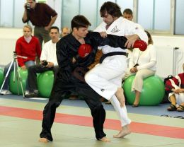 danholgi03009_preview